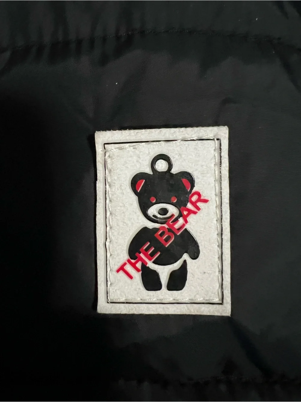 The Bear Baby Hooded Puffer Bunting Snowsuit – Black, Fleece-Lined]